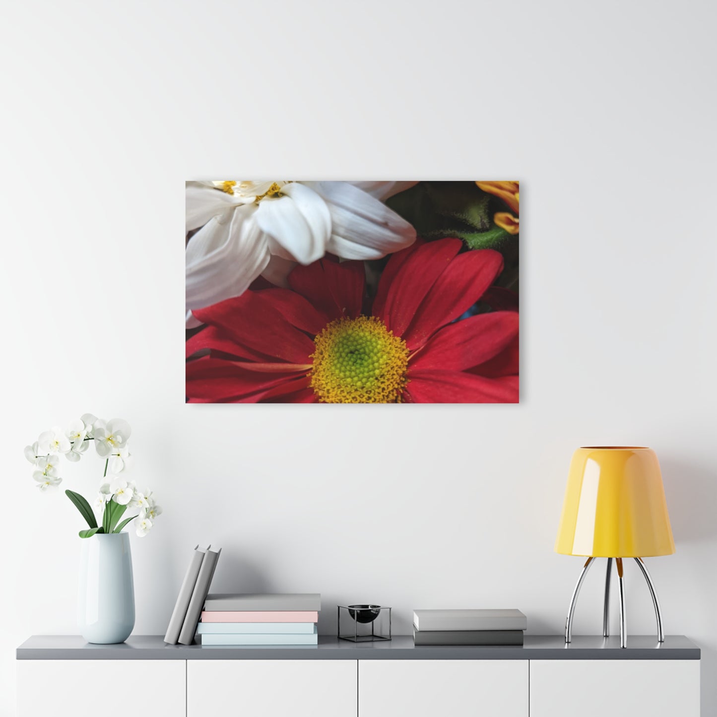 Daisys from Guatemala - Acrylic Wall Art — Red & White Daisy Photo Print (French Cleat Hanging)