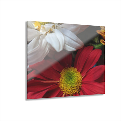 Daisys from Guatemala -  Acrylic Wall Art — Red & White Daisy Photo Print (French Cleat Hanging)