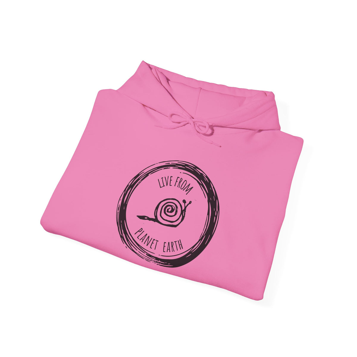 Live From Planet Earth Unisex Heavy Blend™ Hooded Sweatshirt