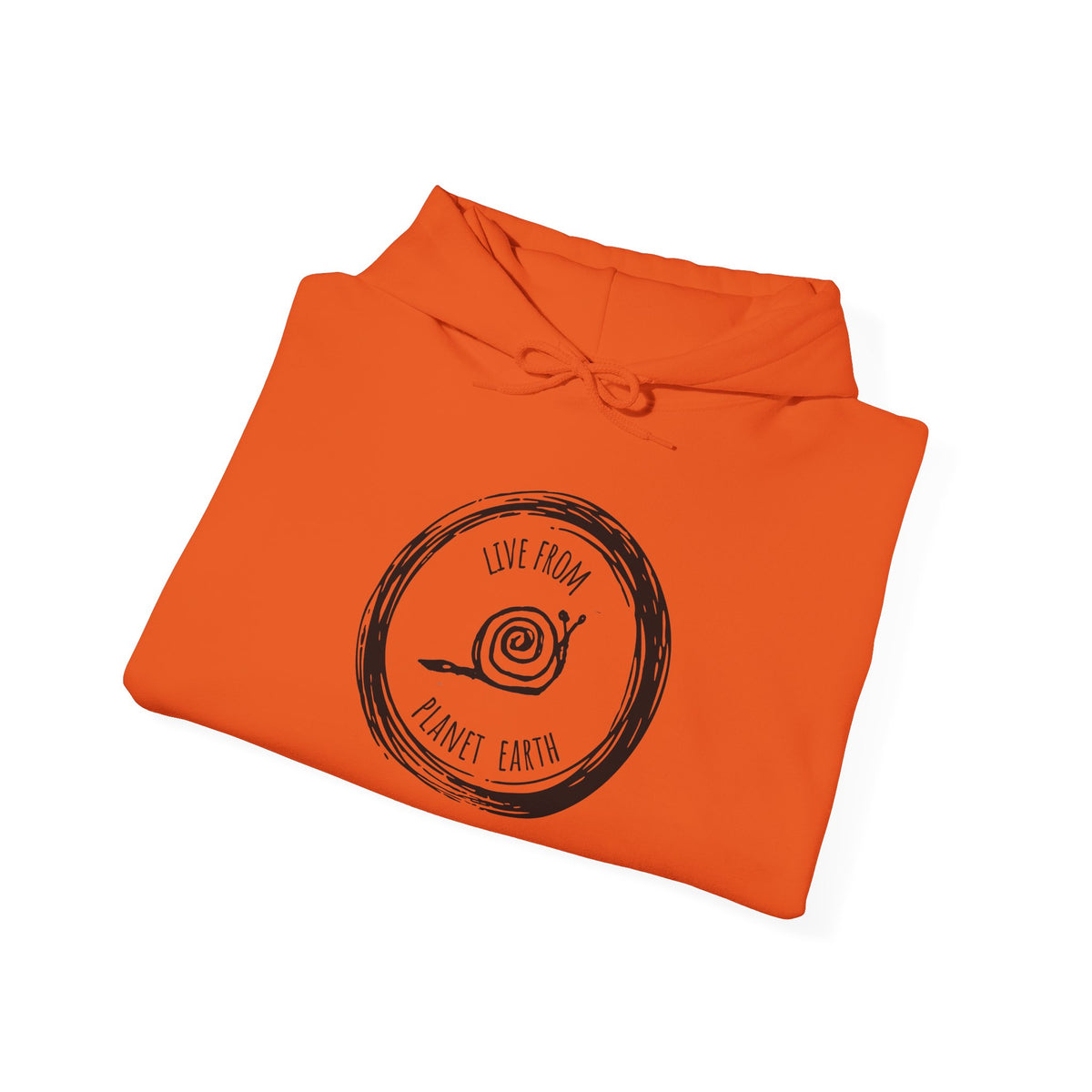 Live From Planet Earth Unisex Heavy Blend™ Hooded Sweatshirt