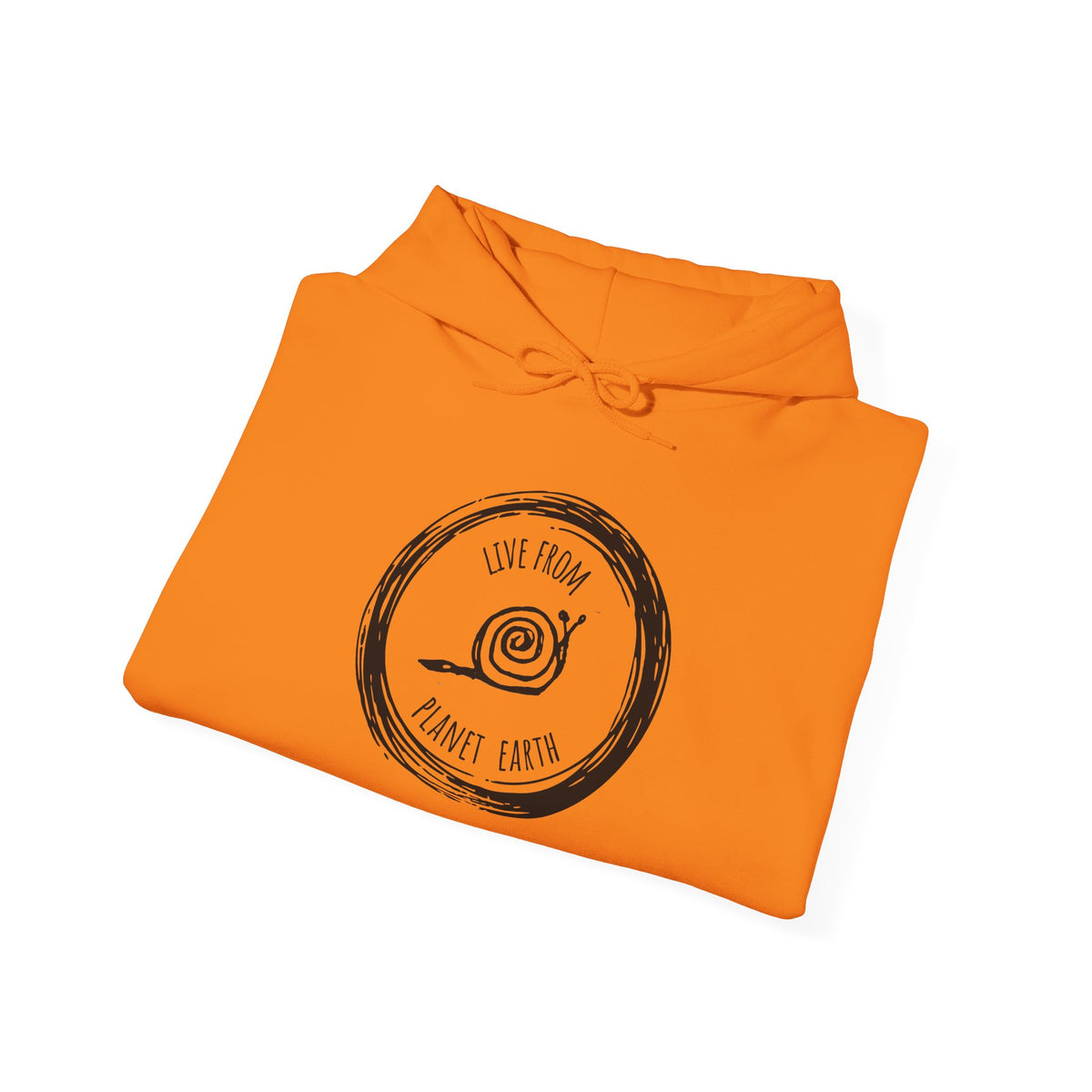 Live From Planet Earth Unisex Heavy Blend™ Hooded Sweatshirt