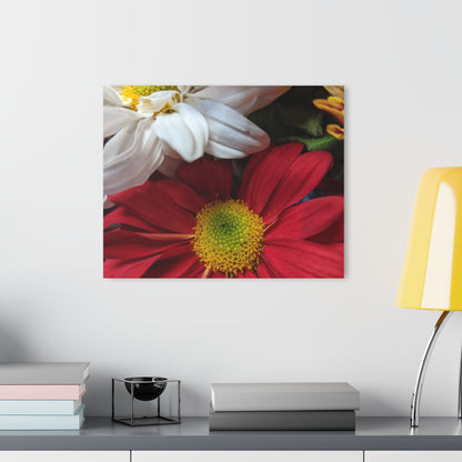 Daisys from Guatemala -  Acrylic Wall Art — Red & White Daisy Photo Print (French Cleat Hanging)