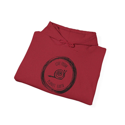 Live From Planet Earth Unisex Heavy Blend™ Hooded Sweatshirt